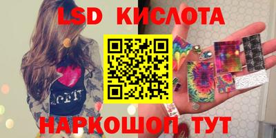 молекула духа Кингисепп