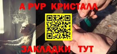 молекула духа Кингисепп