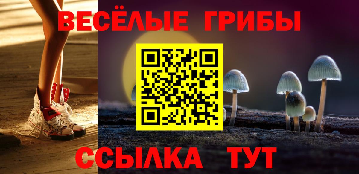 Галлюциногенные грибы Cubensis  Вход с VPN  Озёрск  Псилоцибиновые грибы Cubensis 